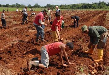 Escuelas al Campo en Cuba