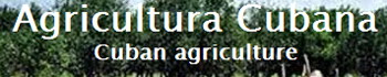 Agricultura Cubana Blog